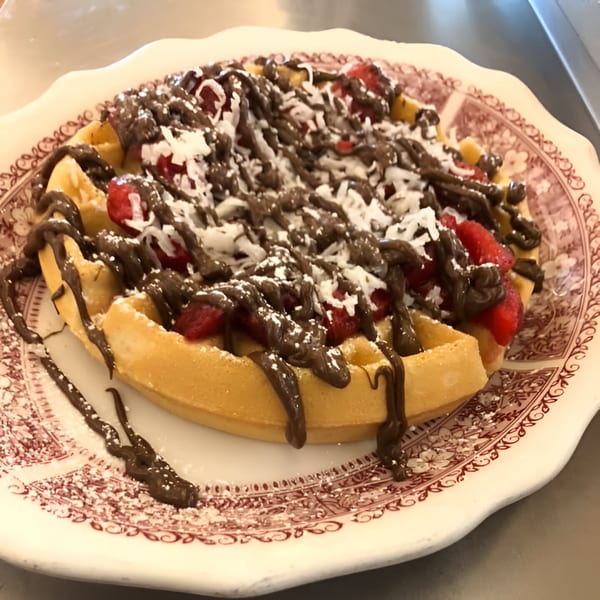 Diner waffle topped with chocolate drizzle, strawberries, and shredded coconut on a patterned plate.